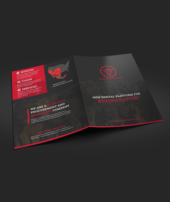 Branding Services Portfolio - Business Brand Identity Design Project