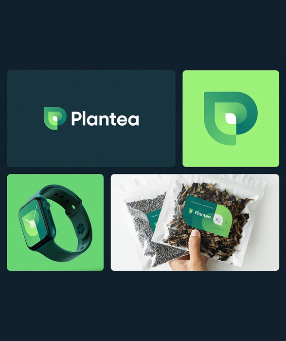 Custom Logo Design Portfolio - Brand Identity Logo Project